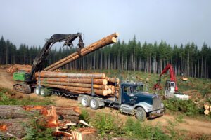 Logging machinery harvesting timber in the Canadian forests.