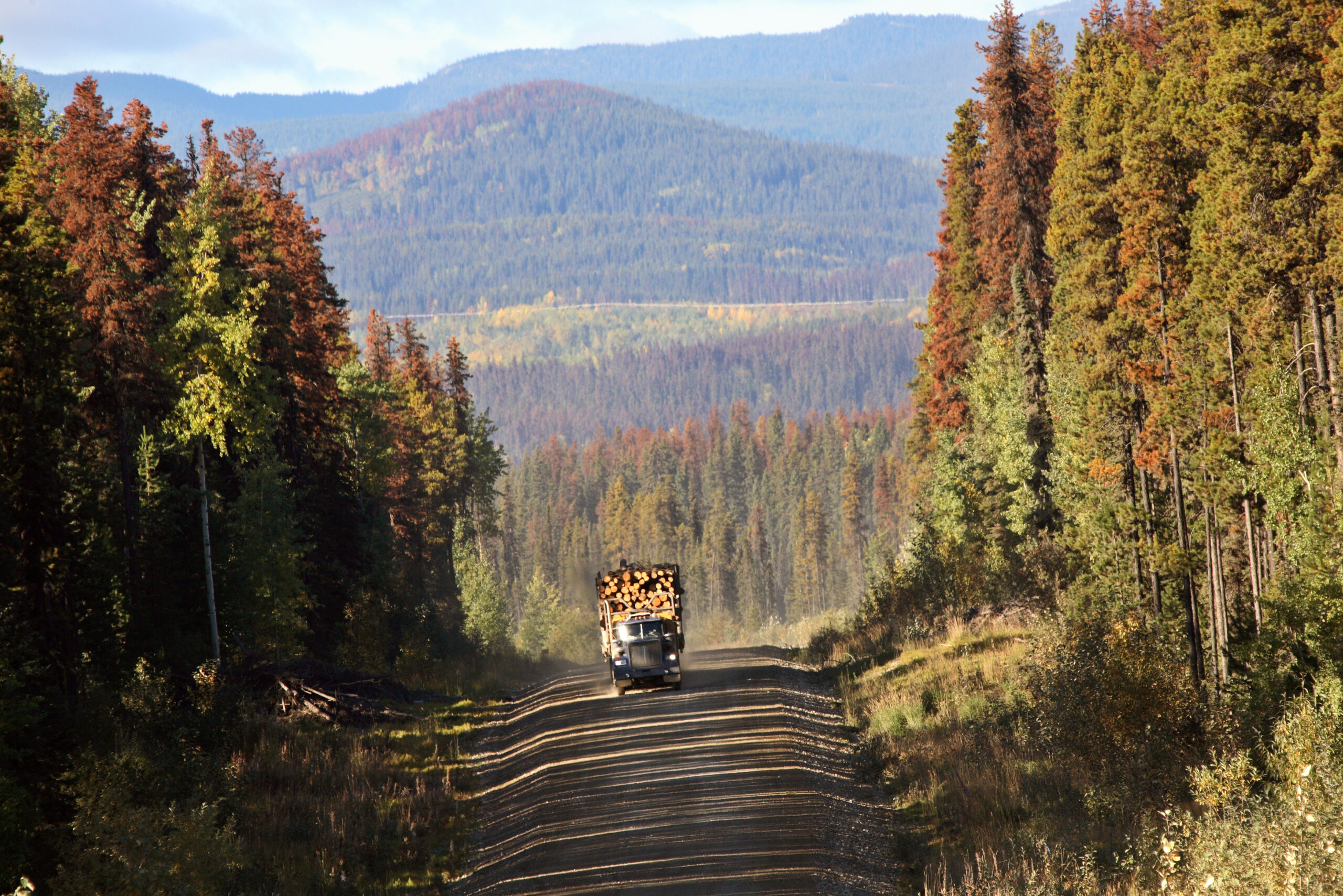 A logging truck driving through the beautiful scenery of British Columbia.